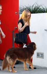 Amanda Seyfried アマンダ・セイフライド