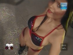 imagebam.com